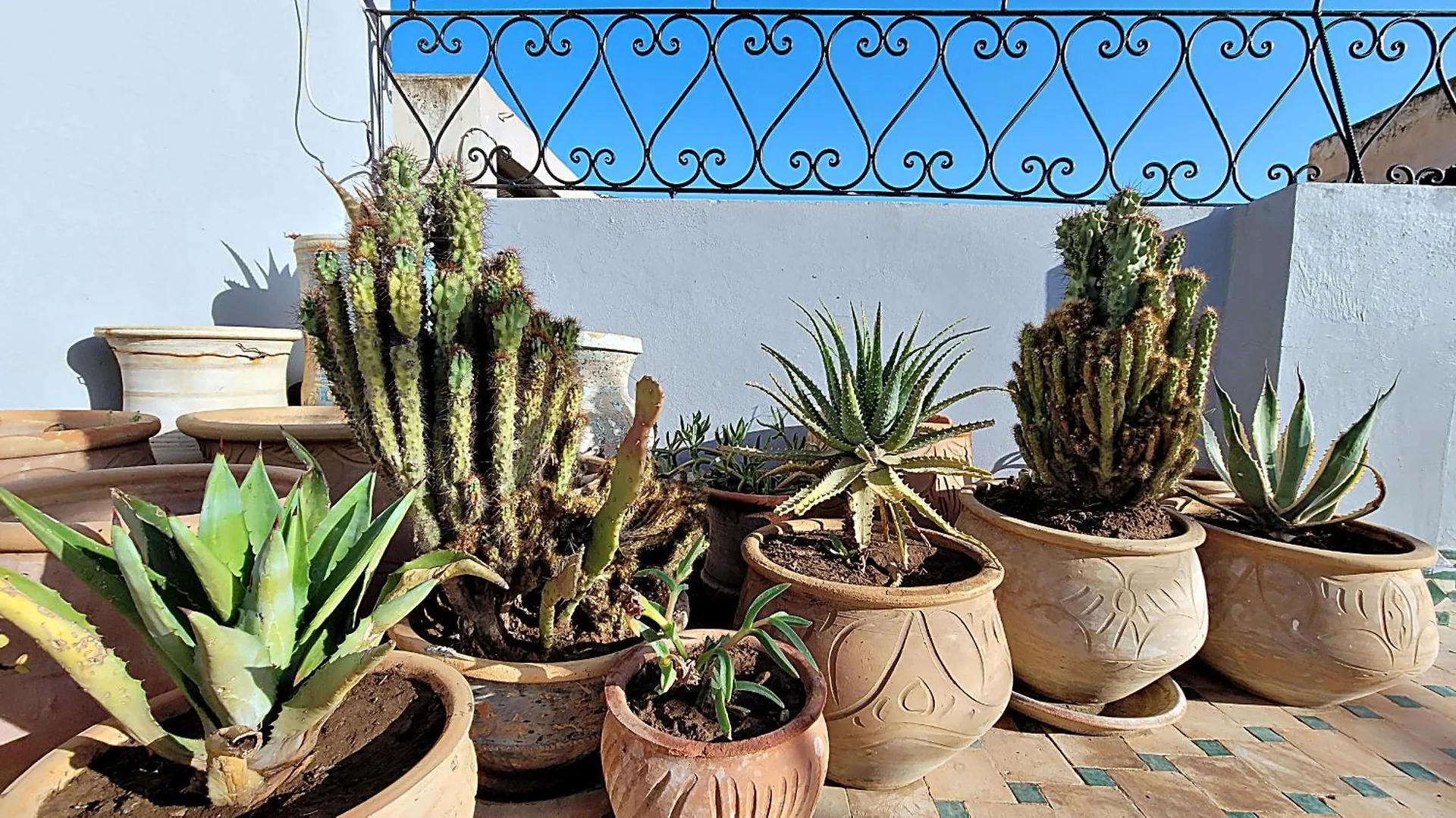 Hotel Riad Dar Bahija Fes